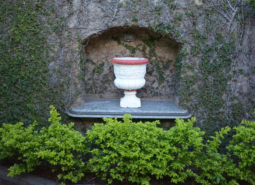屋外の景色 写真