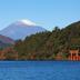 屋外の景色