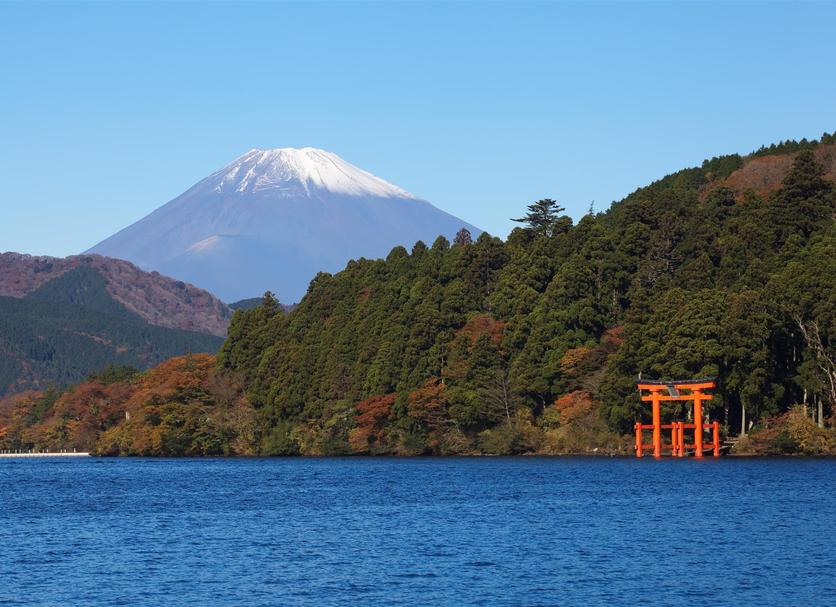 屋外の景色 写真