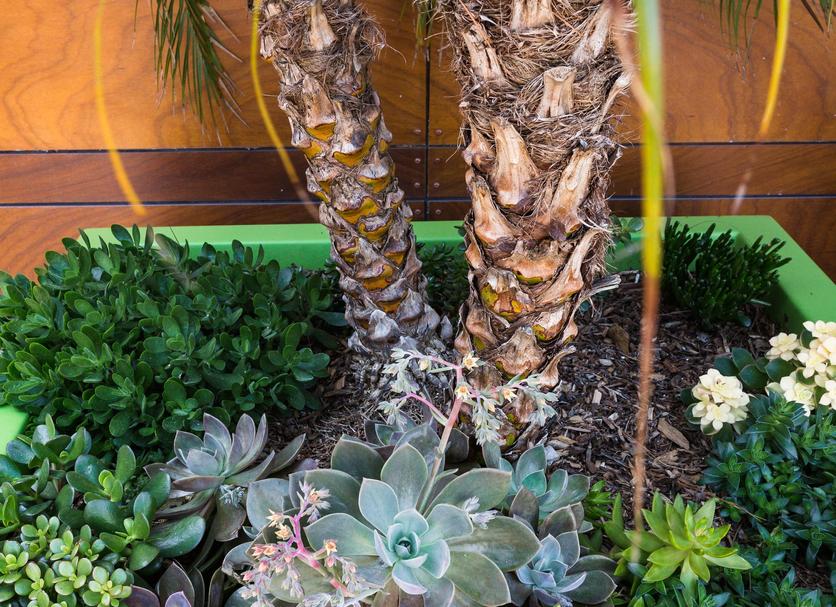 屋外の景色 写真