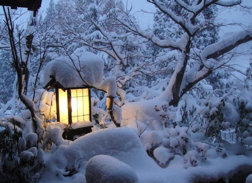 その他 写真