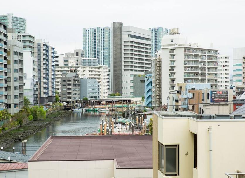 屋外の景色 写真