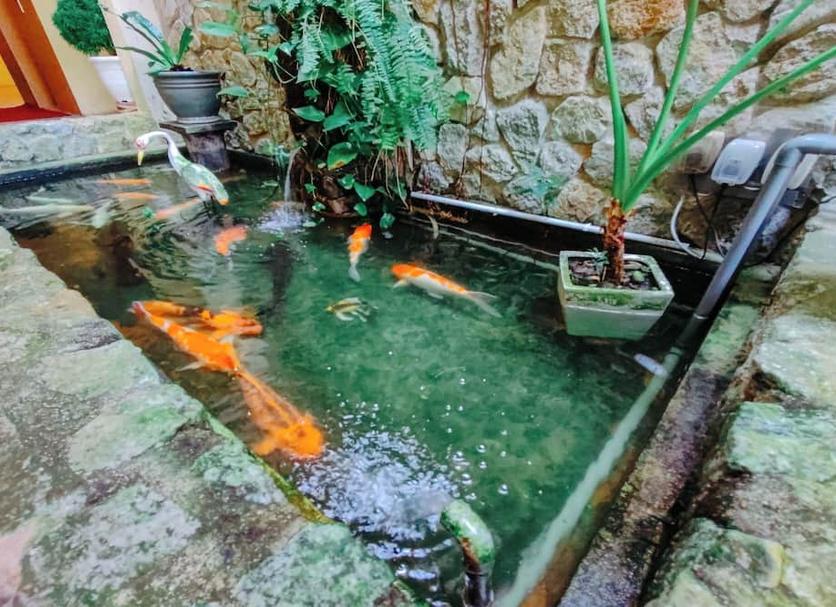 その他 写真