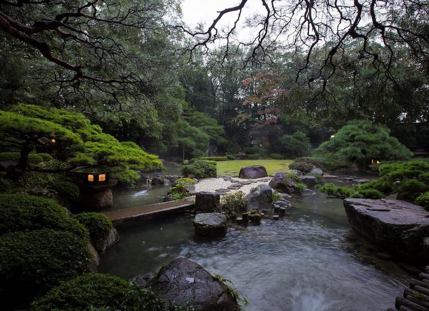 屋外の景色 写真