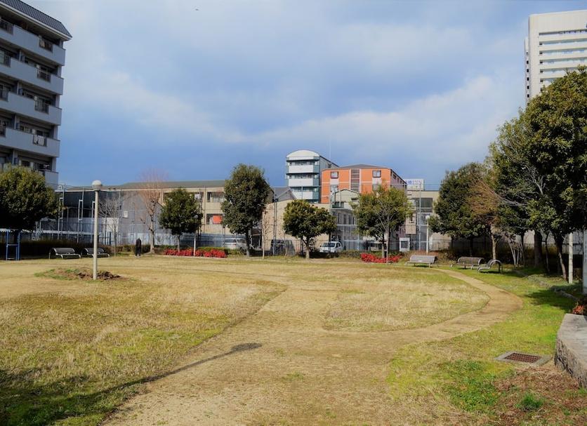 屋外の景色 写真