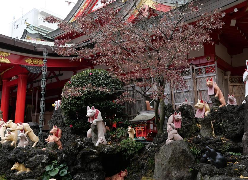 屋外の景色 写真