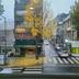 屋外の景色