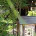 屋外の景色