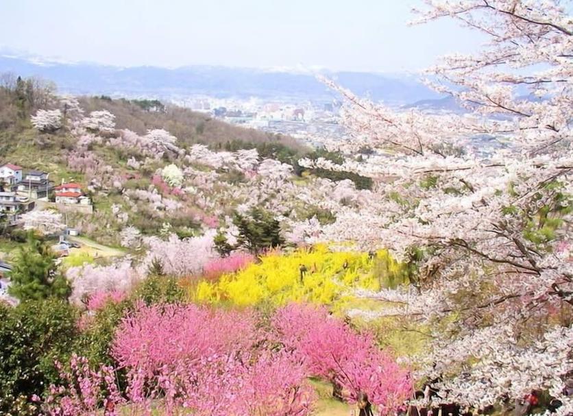 屋外の景色 写真