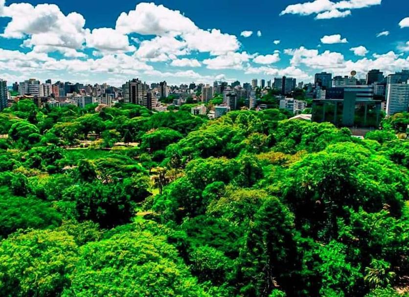 屋外の景色 写真