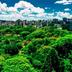 屋外の景色
