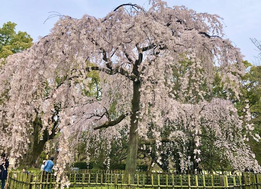 その他 写真