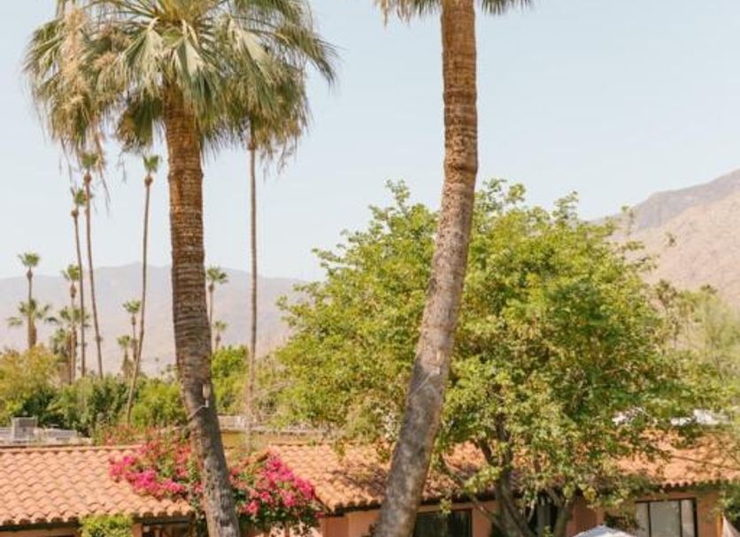 屋外の景色 写真