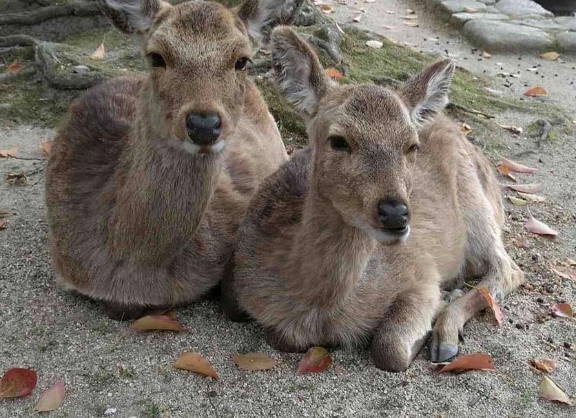 その他 写真