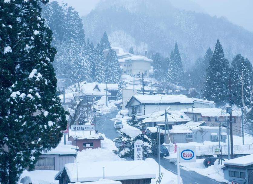 屋外の景色 写真