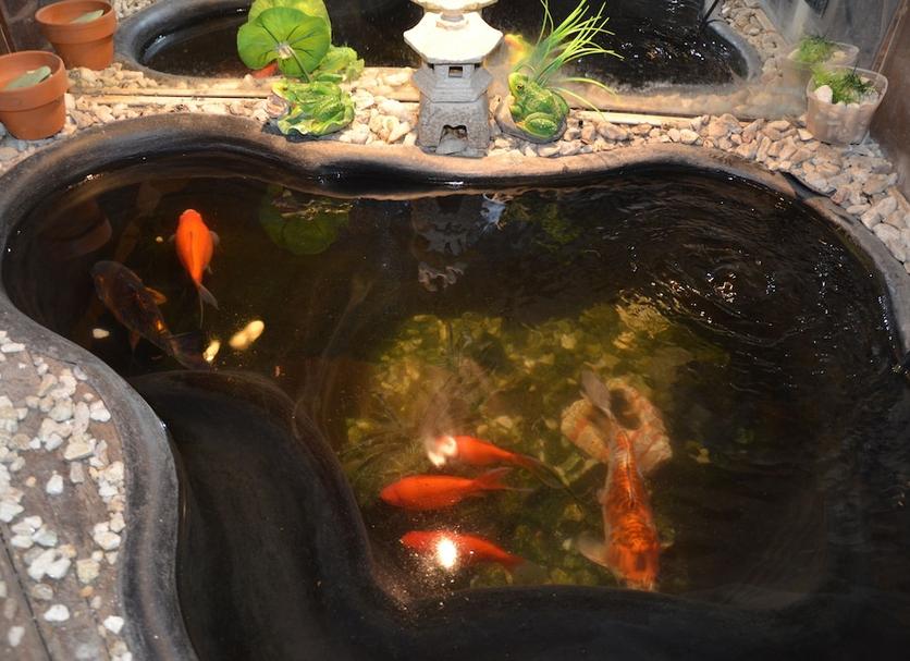 その他 写真
