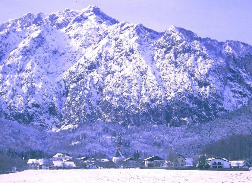 屋外の景色 写真