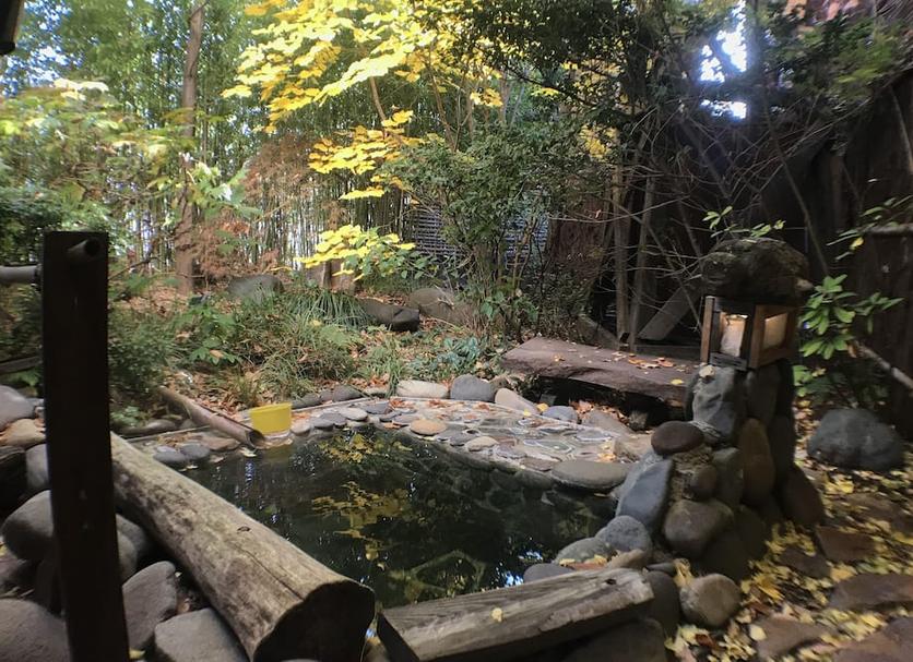 屋外の景色 写真