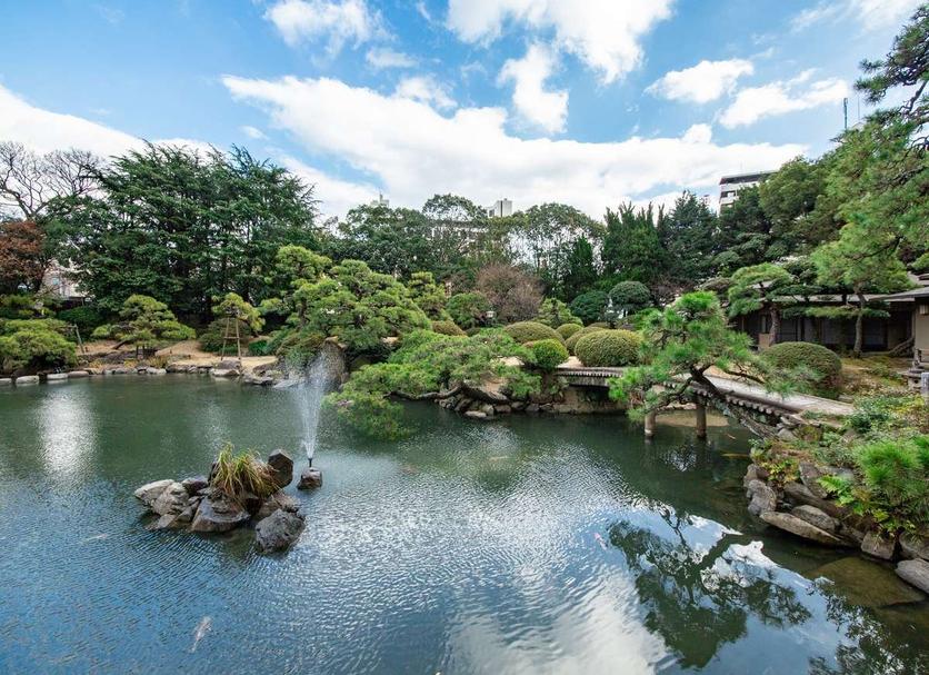 屋外の景色 写真