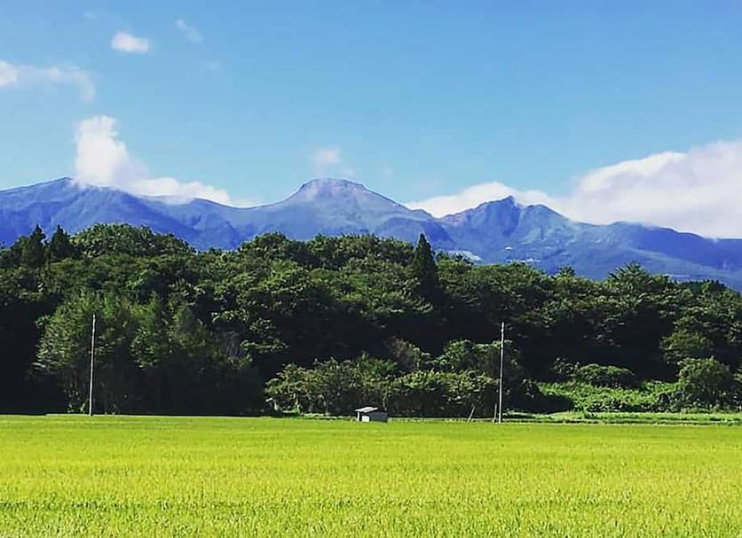 屋外の景色 写真