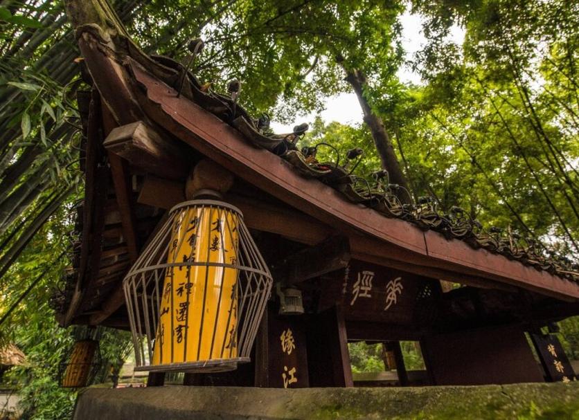 屋外の景色 写真