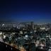 屋外の景色