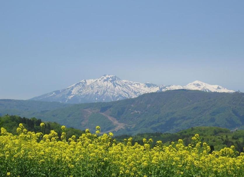 屋外の景色 写真