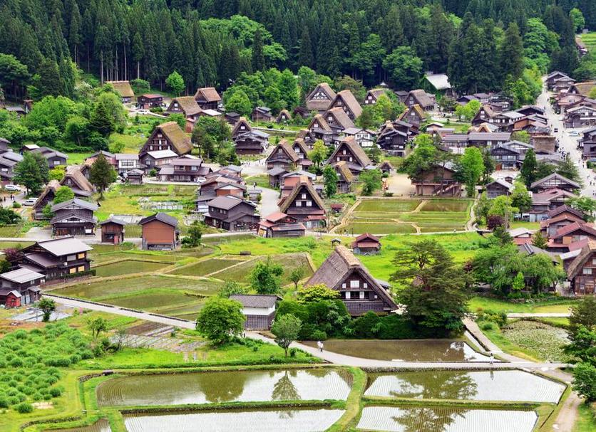 屋外の景色 写真