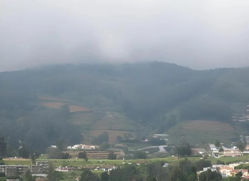 屋外の景色 写真