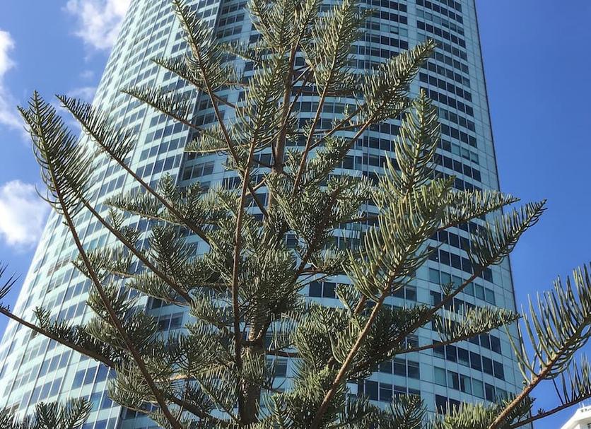 建物 写真