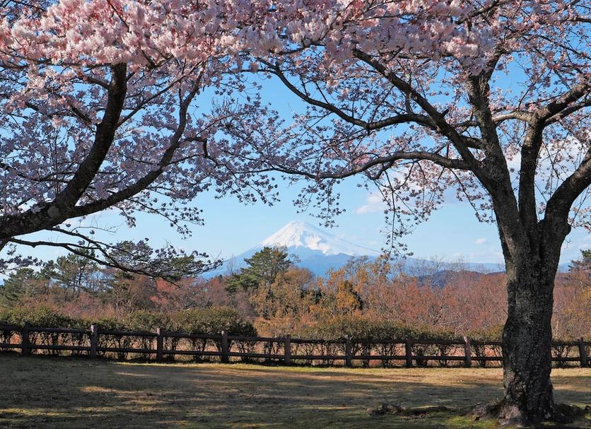 屋外の景色 写真