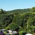 屋外の景色