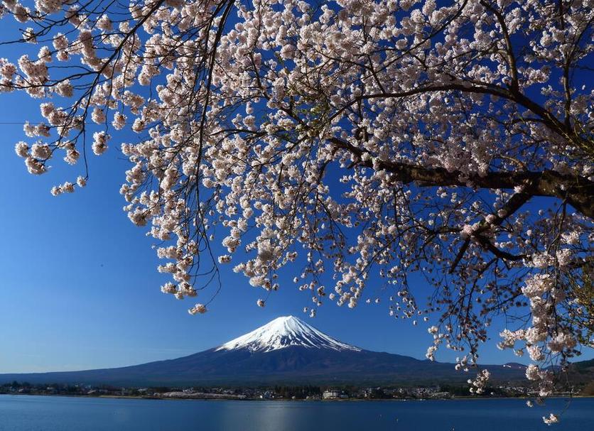 その他 写真