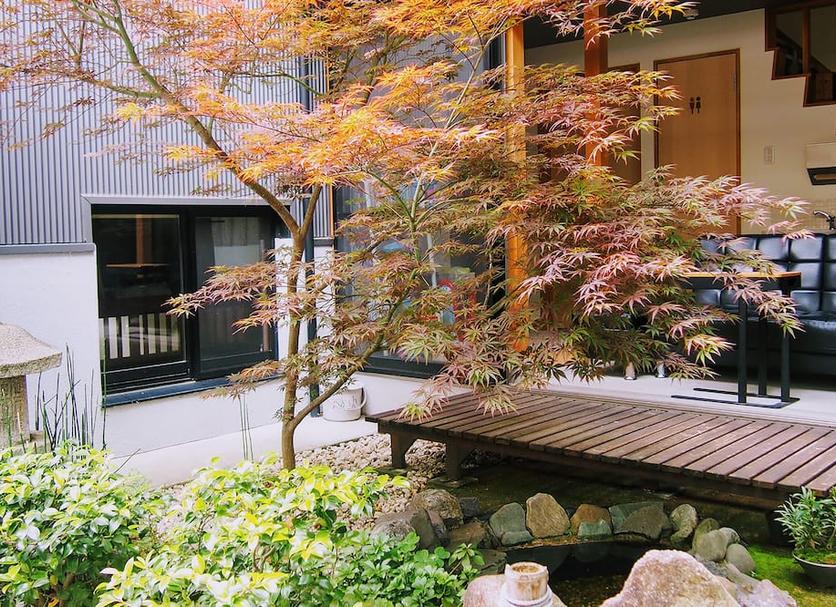 屋外の景色 写真