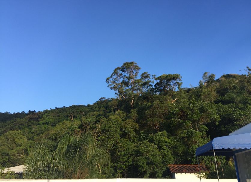 屋外の景色 写真