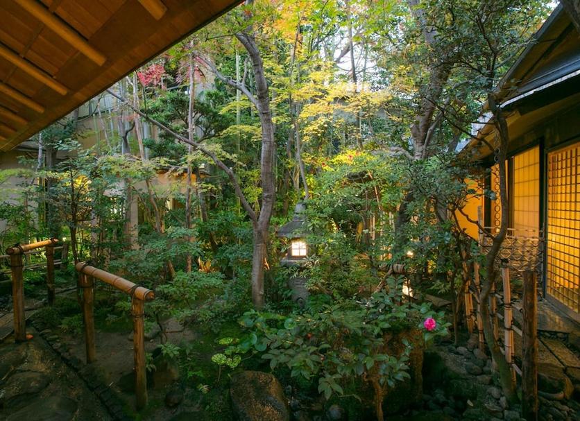 屋外の景色 写真