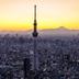 屋外の景色