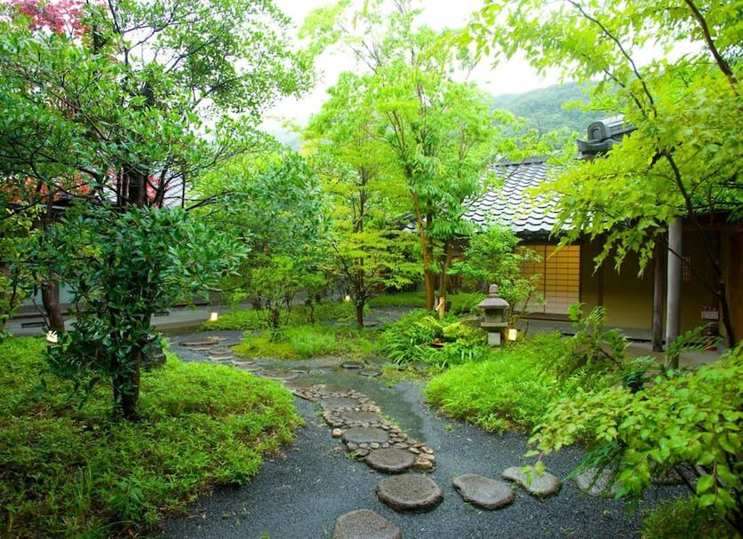 屋外の景色 写真