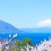屋外の景色