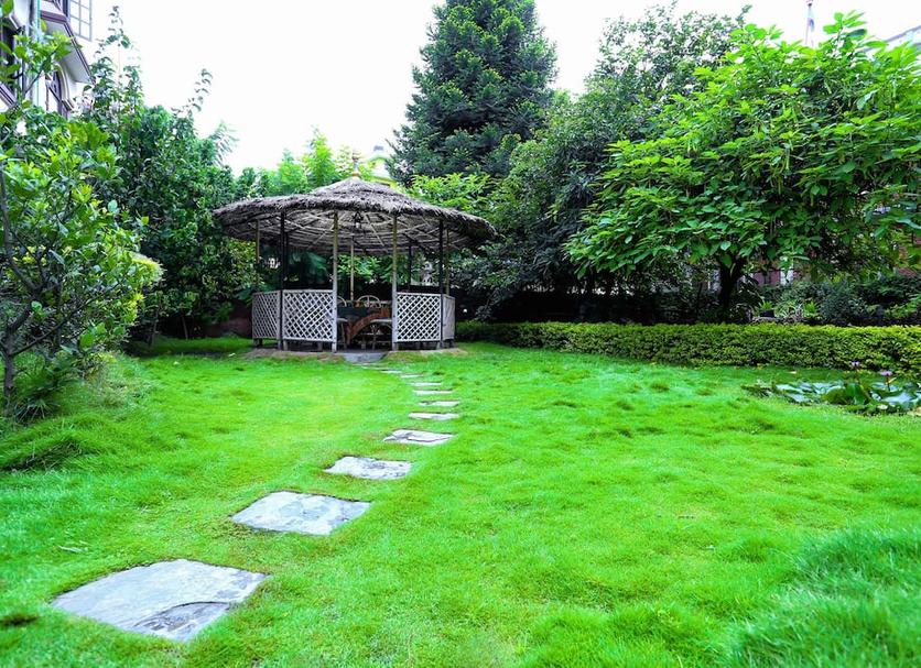 屋外の景色 写真