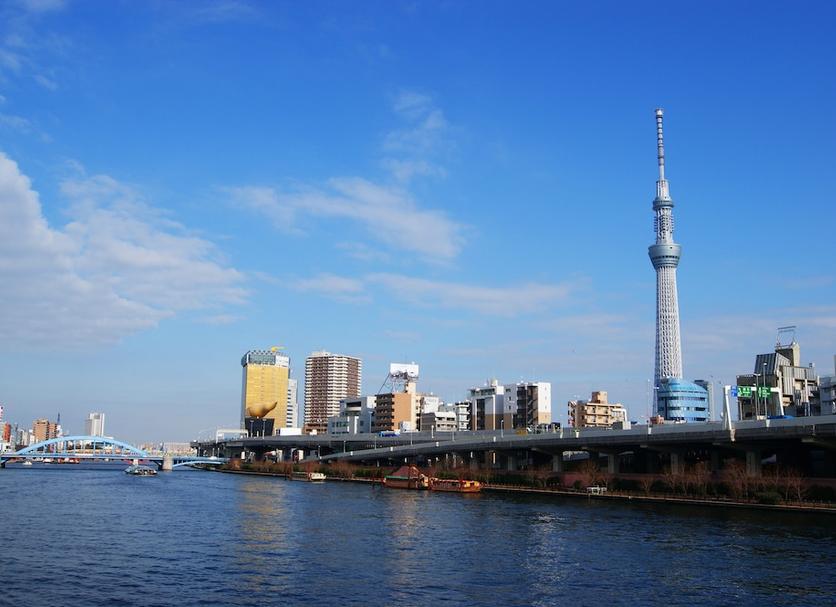 屋外の景色 写真