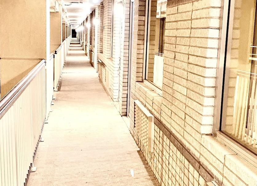 屋外の景色 写真