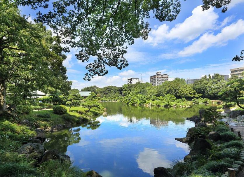 屋外の景色 写真