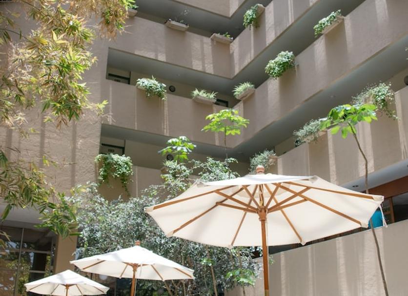 建物 写真