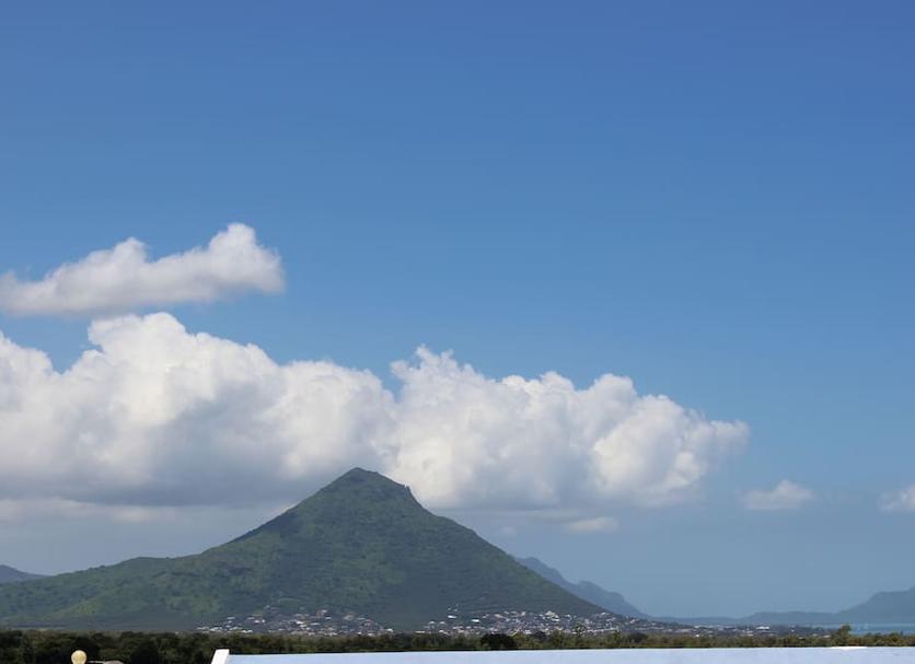 屋外の景色 写真
