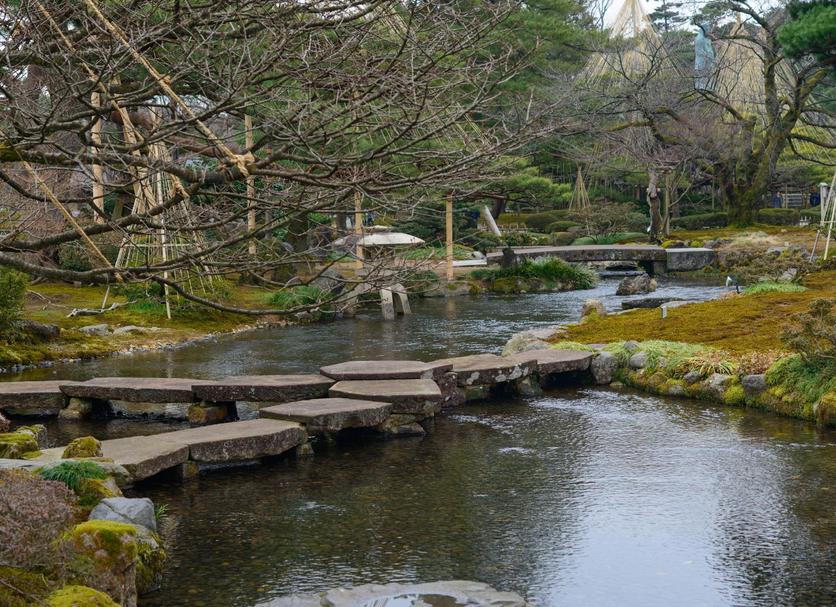 屋外の景色 写真