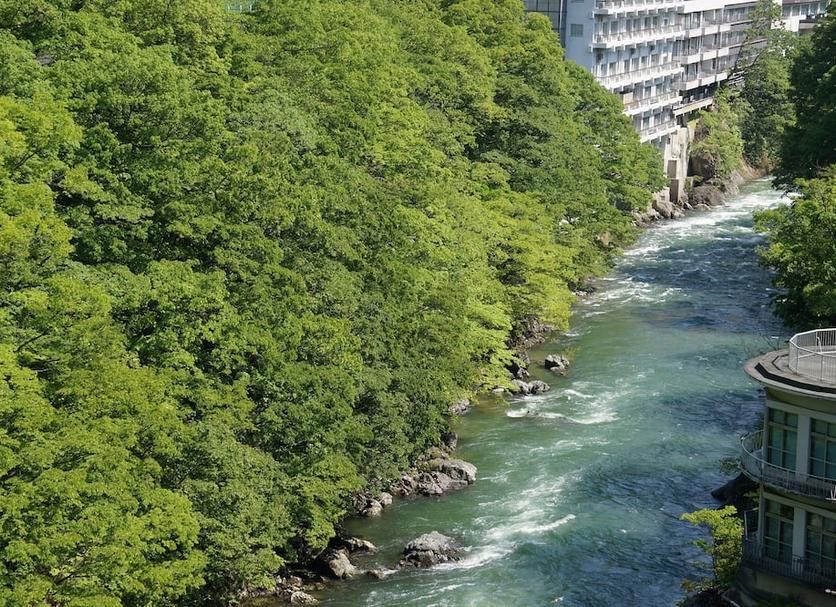 屋外の景色 写真