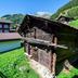 屋外の景色