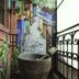 屋外の景色