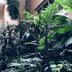 屋外の景色